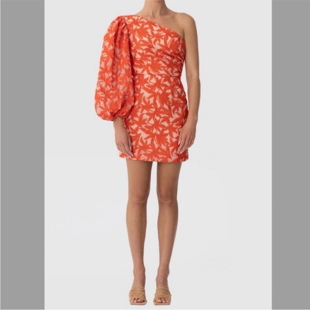 Keepsake Parallel Mini Dress in Chili & Cosmetic